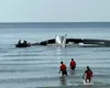 VIDEO. Momentul tragic în care un AVION se prăbușește în Thailanda. Șase persoane au murit