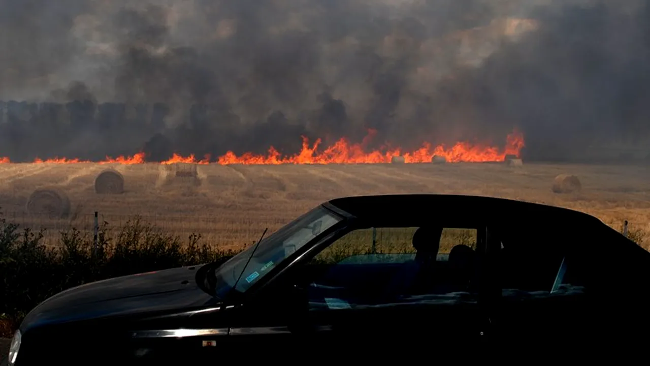 Circulația pe A2, deviată temporar, din cauza unui incendiu de vegetație