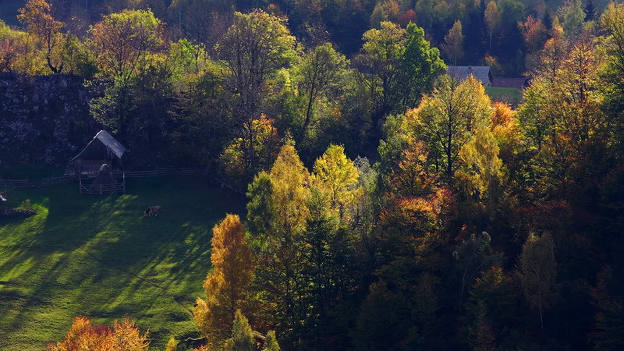 Lista celor 16 parcuri naționale pe care Romsilva le va administra încă 10 ani