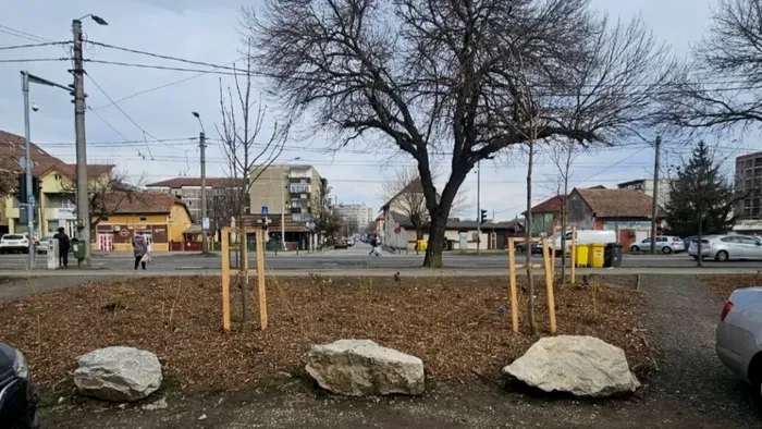 Sursă foto: Facebook Timisoara Capitala Culturala Europeana