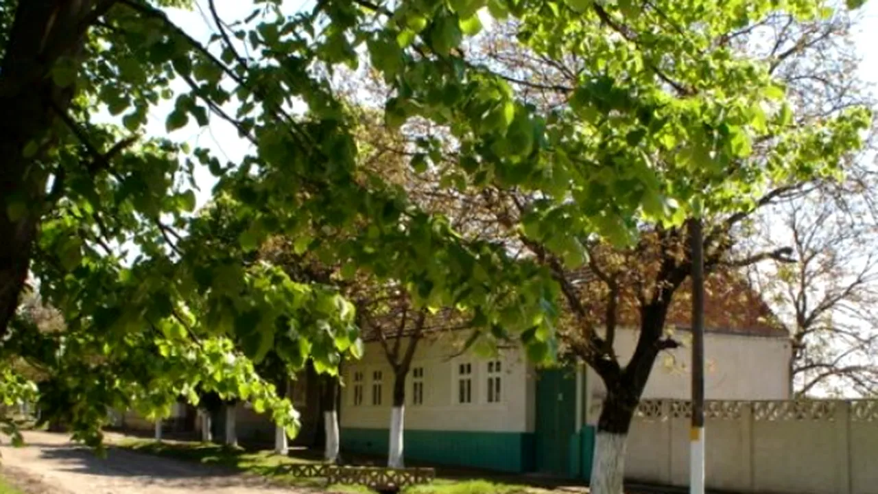 Primăria Forotic din județul Caraș-Severin n-a avut fabuloasa sumă de 500 de lei să-și plătească internetul și a fost deconectată