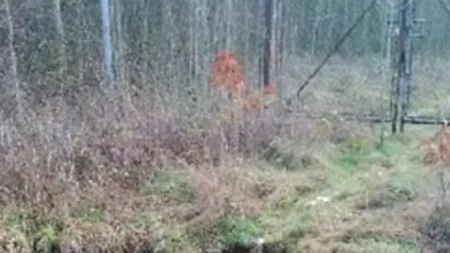 Ce a apărut lângă gardul unei închisori din Marea Britanie