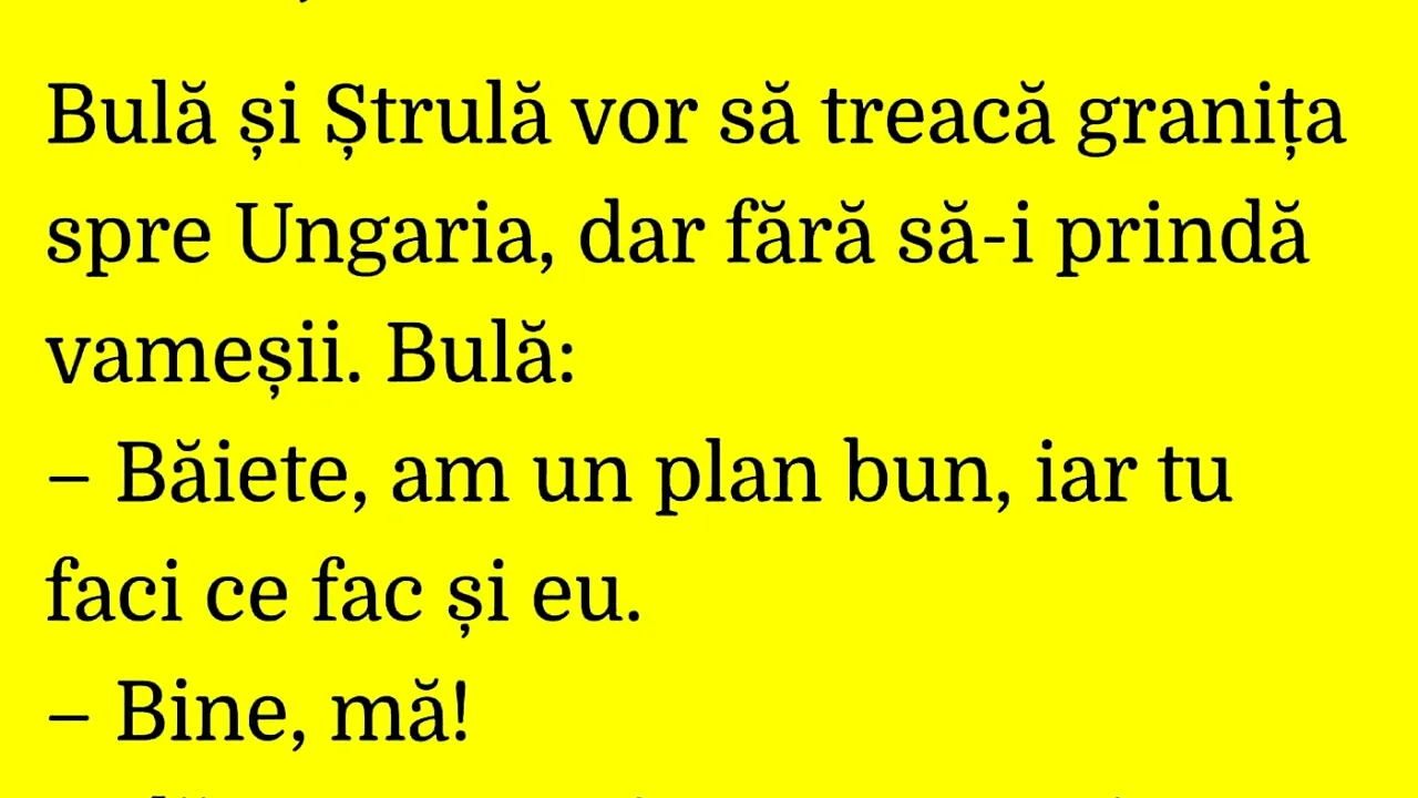 BANC | Bulă și Ștrulă vor să treacă granița spre Ungaria