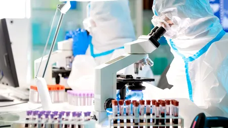 Studiu: Un virus al maimuțelor, similar cu Ebola, ar putea trece la om. Virusul are potențialul de a provoca o nouă pandemie