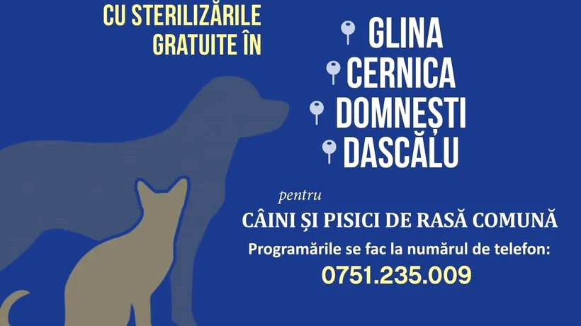 Ianuarie este luna sterilizărilor gratuite în 4 localități din Ilfov: Glina, Cernica, Domnești și Dascălu (P)