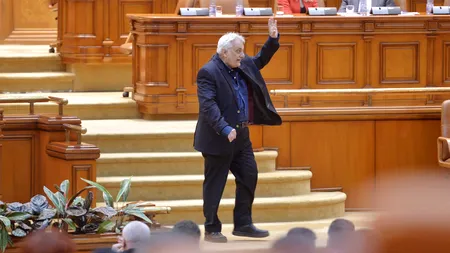 Ceartă ca ușa cortului în Parlament. „Dă cu 'labele', vezi că faci fractură!