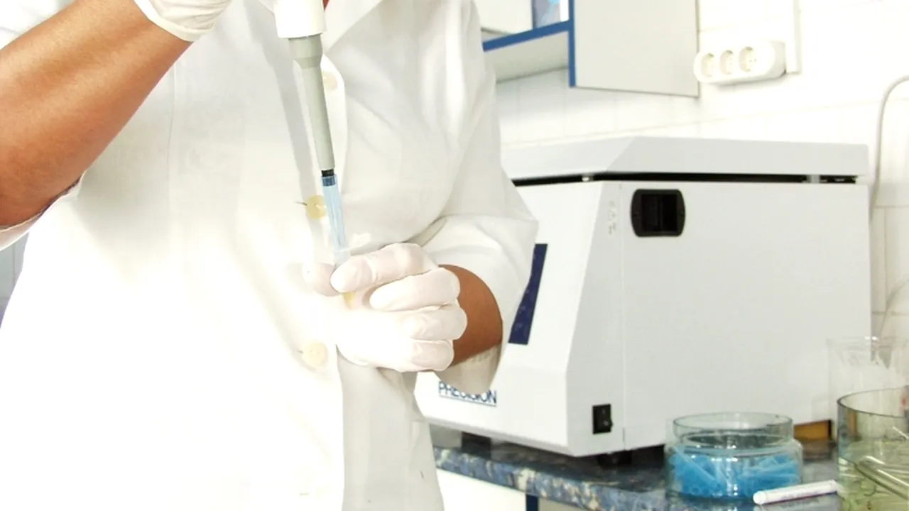 Clonarea oamenilor, posibilă în 50 de ani