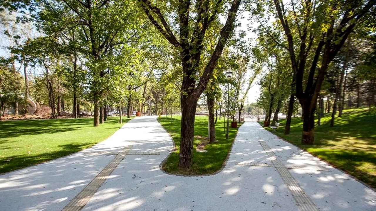 Fițuici cu Iohannis care anunță redeschiderea Parcului Moghioroș, distribuite în Sectorul 6. Reacția ACL