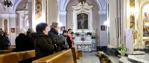Câinele care merge săptămânal la biserica în care s-au ținut funeraliile stăpânei