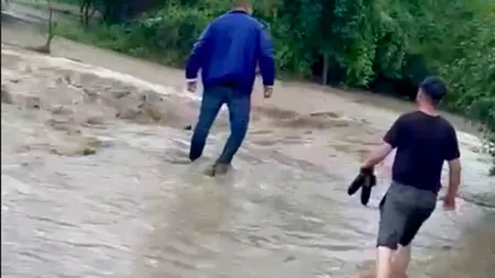 Ploile au făcut prăpăd în Dolj. Case și curți INUNDATE, copaci căzuți pe mașini și pe stradă | VIDEO