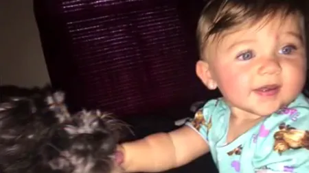 Și câinii sunt eroi. Cum l-au găsit pompierii pe Polo în camera cuprinsă de flăcări în care era un bebeluș de opt luni