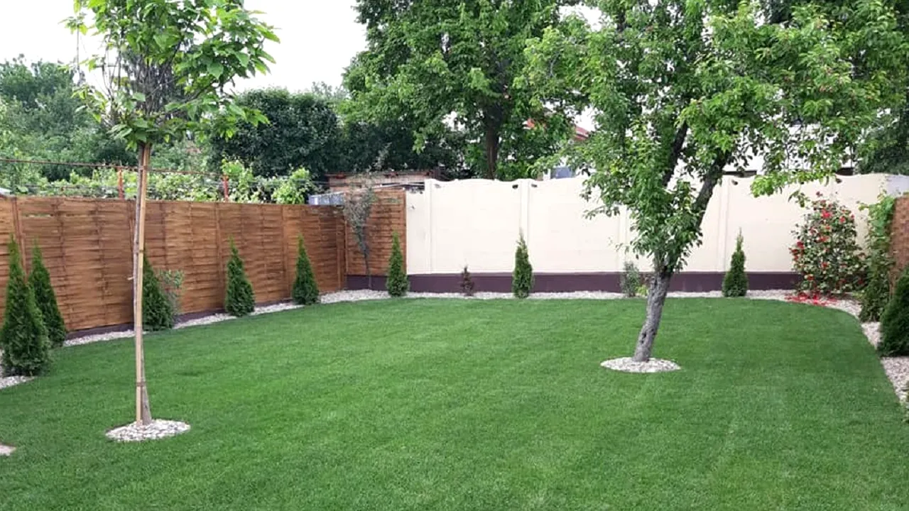 Amendă de până la 10.000 de lei dacă tai acest copac la tine în curte. De ce este interzis