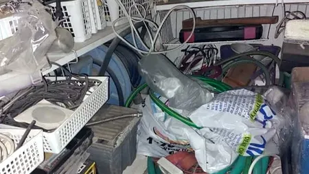 Iluzie optică virală | Găsiți pisica ascunsă în această fotografie! Geniile o fac în 15 secunde