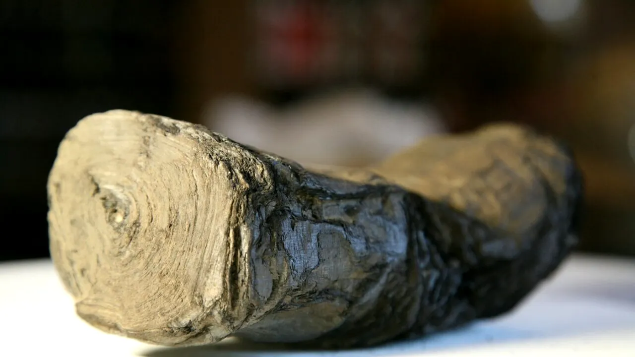 Mesajele unor pergamente din Pompei, descifrate după 2.000 de ani, prin utilizarea sistemelor de inteligență artificială