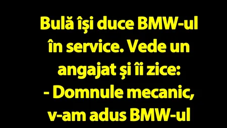 BANC | Bulă își duce BMW-ul în service