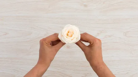 Cum poți să cureți energiile NEGATIVE din casă, astfel încât să atragi pacea, armonia și bunăstarea în locuința ta