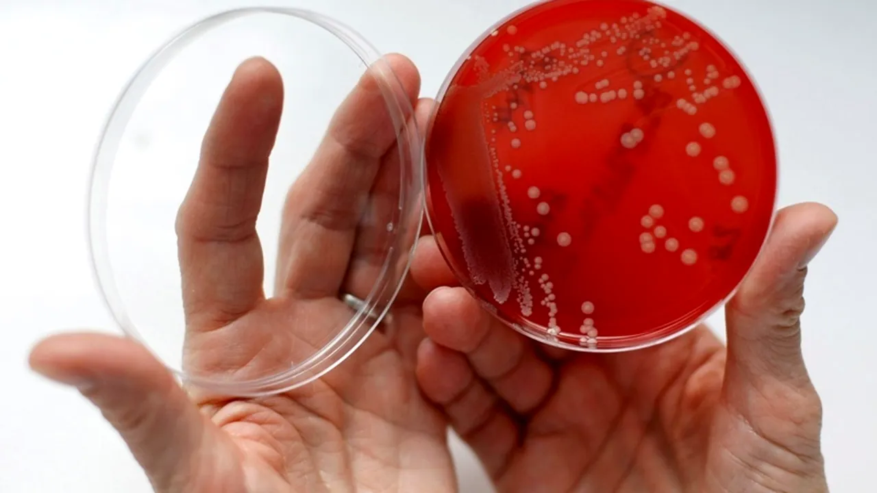 Trei copii posibil infectați cu stafilococ au fost internați. Anunțul Ministerului Sănătății