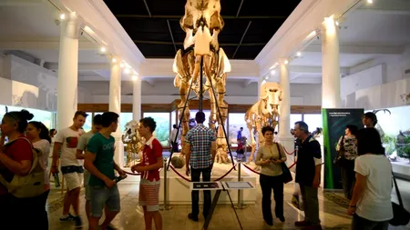 MUZEUL NAȚIONAL de ISTORIE NATURALĂ GRIGORE ANTIPA