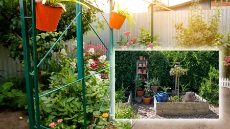 Metoda care îți protejează plantele din grădină până toamna târziu. Cum să le ferești de temperaturile scăzute