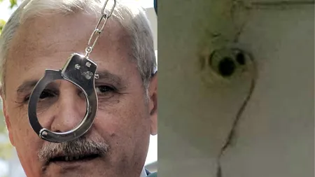 BIG BROTHER la Direcția pentru Protecția Copilului TELEORMAN, cunoscută din dosarul lui DRAGNEA