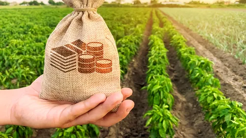 Anunț. Fermierii pot accesa credite pentru subvențiile cuvenite în 2021. APIA eliberează deja adeverințe