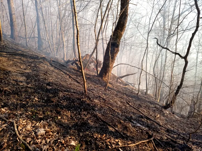 Sursa foto: ISU Vâlcea