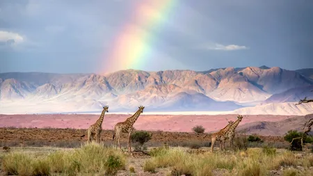 Povestea unei fotografii fabuloase, despre care multă lumea credea că este făcută cu inteligența artificială. Cum a fost surprinsă imaginea uimitoare