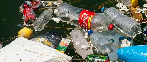 Ministrul Mediului: Mai mult de 90% din cantităţile de DEȘEURI care ajung în fiecare an în Marea Neagră sunt deşeuri din plastic