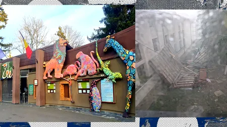 Grădina Zoologică din Bucureşti se închide TEMPORAR, după furtuna de joi: