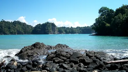 O descoperire neașteptată a fost făcută la adâncimi record. Toate fac parte dintr-o ''maternitate''