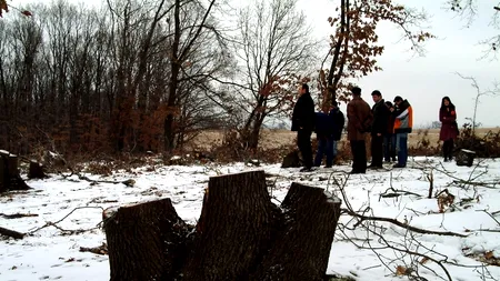 Bărbații acuzați că au bătut un pădurar din Argeș de la un ocol silvic privat au fost ARESTAȚI 