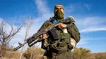 Război în Ucraina, ziua 1.665. Contraofensiva Kievului pe frontul din Donețk: Operațiunea „Vivaldi” împotriva avansului trupelor lui Putin