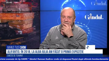 VIDEO | Muzicianul Nicu Alifantis: „A treisprezecea noapte” este o finalizare a proiectului Memorabilia