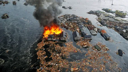 Un ponton plutitor luat de tsunamiul din Japonia a eșuat pe o plajă din SUA