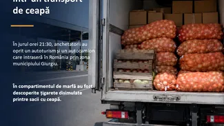 Traficanții prinși cu peste 70 de milioane de țigarete ascunse între lăzi cu ceapă lăsați sub control judiciar de Tribunalul București