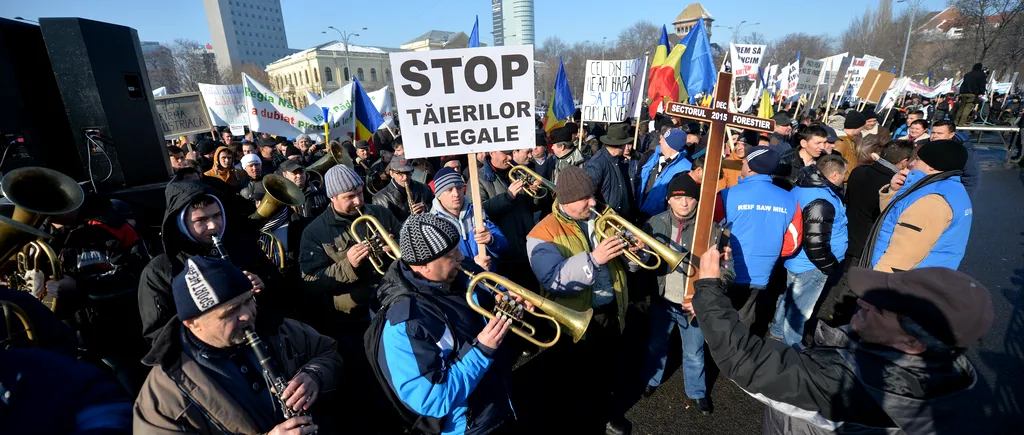 Peste 3.500 de reprezentanți ai industriei lemnului pichetează sediul Guvernului