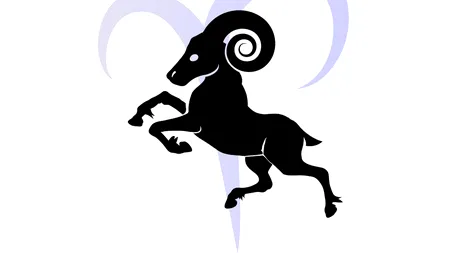 HOROSCOP - BERBEC