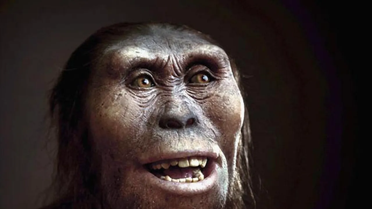 GOOGLE aniversează printr-un doodle 41 de ani de la găsirea scheletului „Lucy