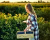 Fructele cu care o româncă întoarsă din Germania a dat lovitura. Obține un profit de 20.000 de euro la hectar