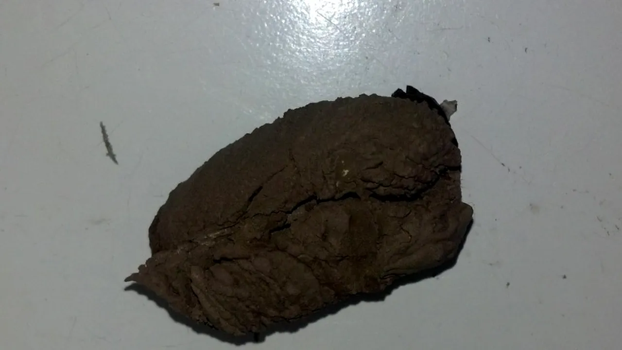 FOTO. Ce a găsit un bărbat în bucătăria sa. 