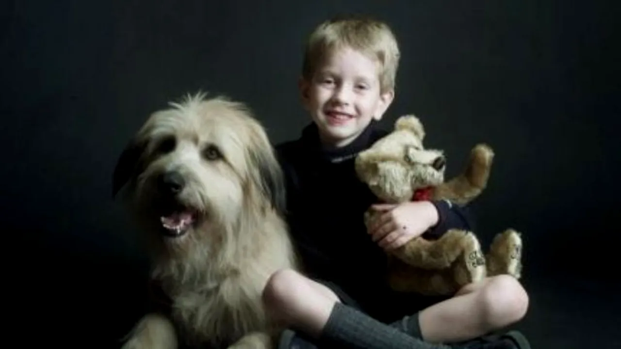 Zgărzi antipurici, interzise în Franța din cauza unei substanțe toxice. În România se comercializează încă