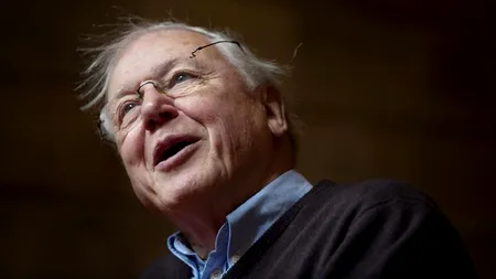 Un celebru realizator de documentare vrea să îl găsească pe Yeti