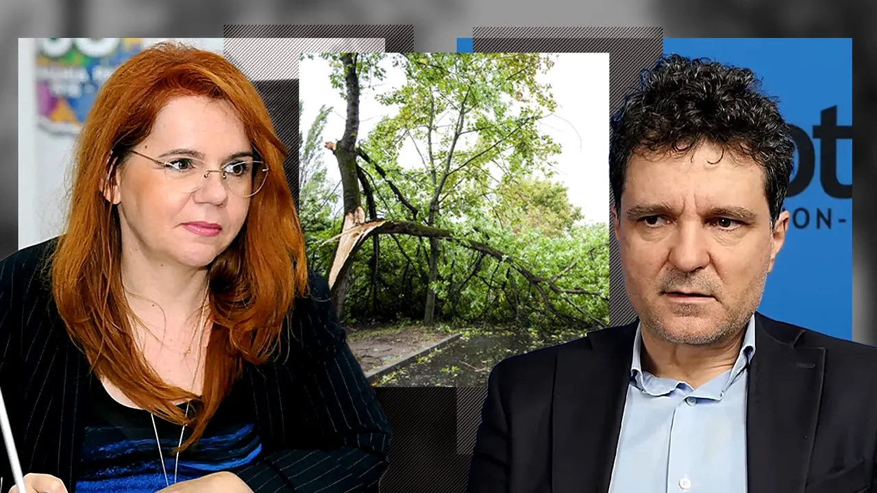 Prefectul Capitalei îl somează pe Nicușor Dan să rezolve problema copacilor care pun în pericol siguranța locuitorilor