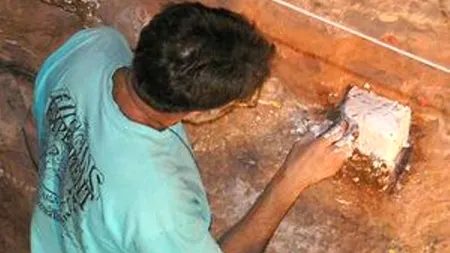 Cea mai veche formă de artă murală, de acum 37.000 de ani, a fost descoperită în Franța