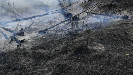 FOTO-VIDEO | Incendiu de vegetație în localitatea prahoveană Comarnic. Ard aproxmativ 10 hectare de teren