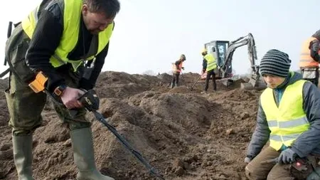 Comoara unică, veche de peste 1000 de ani, descoperită de un copil pe o insulă germană: Este un caz foarte rar 
