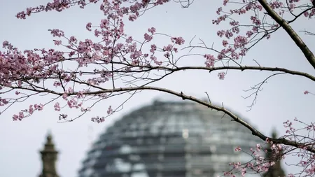 Raport al Bundestagului: Un stat membru NATO care intră în conflict cu Rusia în Ucraina NU VA FI APĂRAT de Alianță