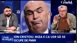 Teatru pe jaloanele PNRR. Cristoiu: Suntem victimele unei manipulări uriașe din partea sistemului și a Cotroceniului
