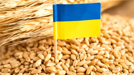 Ucraina, nemulțumită de RESTRICȚIILE impuse de unele state UE importurilor de cereale. „Sunt inacceptabile, nu respectă Acordul de Asociere”