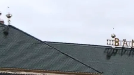 VIDEO: Ornamentul neobișnuit de pe o casă din Timișoara. 